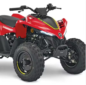 Stock 100% ORIGINAL pour MOTO C-FORCE 110 2024 - Product Image 3