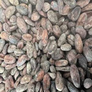 Fèves de cacao/chocolat torréfiées certifiées biologiques de haute qualité à l'échelle 1/6, emballées, prix de gros, produit de fèves de cacao à vendre - Product Image 1
