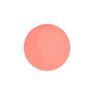 CEN870 Presto Gel Color EX Tokiiro Neo 15ml Vernis à ongles en gel de créateur Matériau en résine avec certificat CPSR Échantillon gratuit - Product Image 5
