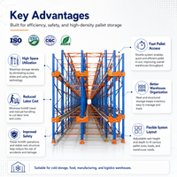 Système de rayonnage intelligent pour entrepôt, solution d'automatisation de stockage de palettes haute densité pour la logistique frigorifique