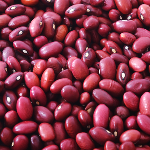 Vente en gros d'haricots rouges de forme longue à prix compétitif Emballage en vrac disponible - Product Image 2