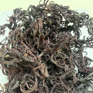 Purple Sea Moss - Irish Moss - supplier from Vietnam