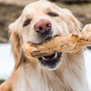 Gran venta de café de madera para perros masticables a los perros les encantará la bondad masticable café de madera para perros masticar resistente y seguro - Product Image 5