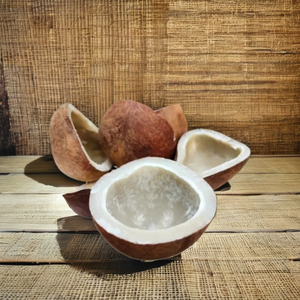 Copra de Coco Seca de la Mejor Calidad, 100% Natural, Marca AGP, 6 Meses de Duración, de PT. Agro Global Persada Indonesia - Product Image 6