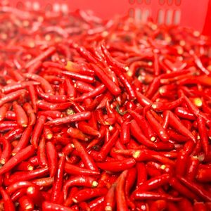 Chili rojo congelado de Vietnam con alto calor para ingredientes de alimentos y especias y suministro al por mayor de hierbas - Product Image 6