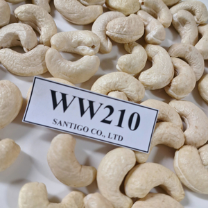 Vente en gros de noix sèches en vrac Kaju noix de cajou WW210 SANTIGO service de noix et de grains 24/7 - Product Image 1