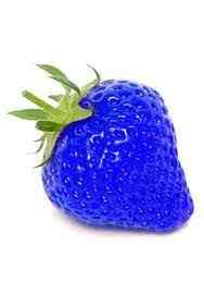 100 Pcs Seeds Organic Harvest Blue Strawberry Seeds Hobby Garden Balcony Blue Strawberry Seeds