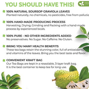 Hojas secas naturales de Guanábana/Graviola de alta calidad de Vietnam/Sra. Jessi - Product Image 4