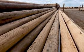 Carbon Steel Lightweight Utility <b>Pole</b> Alternative for Forestry Mountainous Areas Hot Dip Galvanized 200km/h Wind Resistance - Product Image 2
