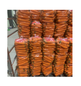 Produit frais en dés de carotte congelée - Product Image 4