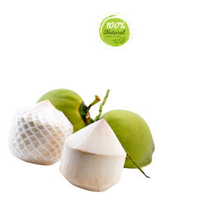 Producto agrícola de Vietnam de coco de diamante de calidad superior - Product Image 1