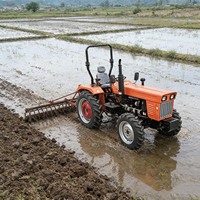 Tracteur agricole chinois en stock, livraison rapide, meilleur prix, mini 35 CV à vendre, vente en gros disponible dès maintenant