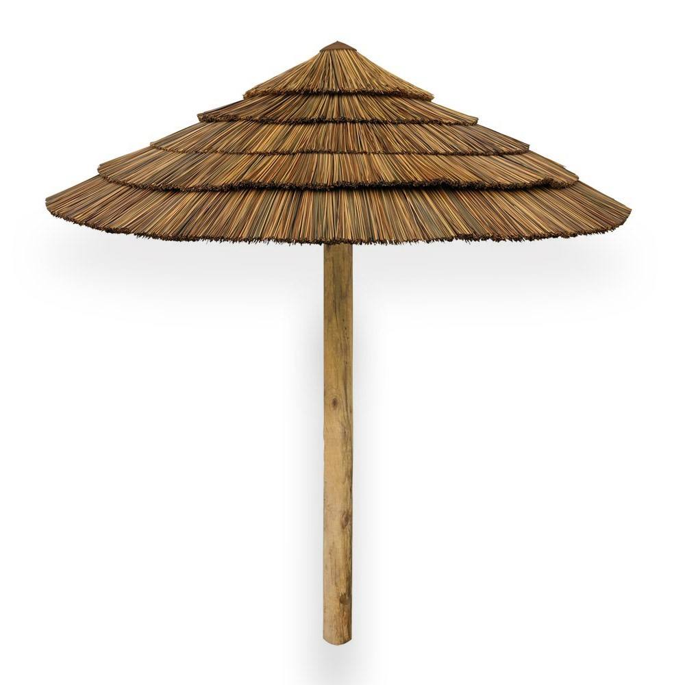 ธรรมชาติ