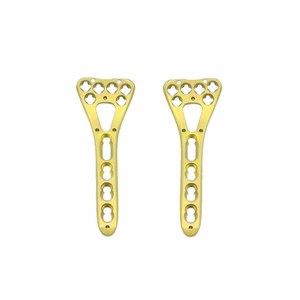 Fabricante Ortopédico Titanio Veterinario Distal Fémur L Placas de bloqueo para la reparación de fracturas en perros y gatos - Product Image 6