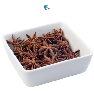 MEILLEUR FOURNISSEUR D'ANIS ÉTOILE DÉSHYDRATÉ ANIS EN POLVO ILLICIUM VERUM EN VRAC PRIX AVEC LOGO PERSONNALISÉ - Product Image 5