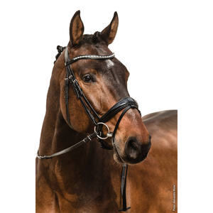 สายบังเหียนวิบวับม้าพร้อมแถบคิ้วคริสตัลผลิตภัณฑ์หนังปรับแต่งได้ตามที่คุณต้องการขนาดและสี - Product Image 1