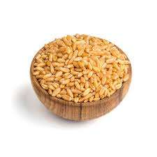 Grains de blé dur 100% naturels de haute qualité en provenance d'Inde pour l'exportation, qualité alimentaire, 500 MT par mois, certifiés FSSAI ISO & HACCP - Product Image 5