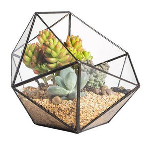 Nouveau terrarium de table moderne et élégant au design unique personnalisable avec verre pour la décoration de la maison et du jardin avec finition noire - Product Image 4