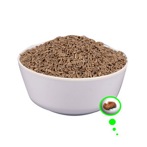 Semillas de hinojo |   Ingrediente Herbal de Grado Alimenticio A1, Vida Útil de 3 Años, Kohenoor International para Uso Industrial - Product Image 3