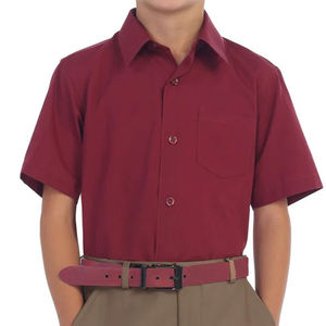 Premium Quality Comfortable Quick Dry <b>School</b> Shirts for Men Hot Selling 100% Cotton Short Sleeve Turn Down Collar <b>School</b> Shirts - Product Image 2