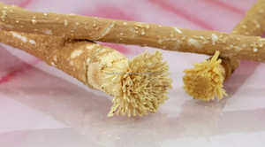 Venta al por mayor Miswak Sticks Pure Natural cepillo de dientes Sticks para cuidado bucal - Product Image 5