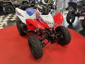 Offre Annuelle 2025 – Nouvelles Motos Honda TRX250X (Jeunesse) - Product Image 5