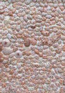 Gemas de Thomsonita Natural de Alta Calidad de Alba Gems, Piedras Sueltas de Diferentes Formas con Efecto de Luz de la India, 10 g-1 kg para la Fabricación de Joyas - Product Image 2