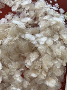 เกล็ดปลาธรรมชาติที่ส่งออกอย่างสมบูรณ์ในราคาพิเศษจากเวียดนาม - Product Image 5