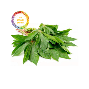 แพ็คสับใบมันสำปะหลังแช่แข็งจำนวนมากสำหรับอาหารสำเร็จรูปและโรงงานอาหารชาติพันธุ์ใบพรีเมี่ยมจากเวียดนาม - Product Image 1