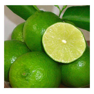 Offre spéciale citron vert frais Excellent pour la cuisine tropicale fraîche citron vert frais agrumes sans pépins juteux avec qualité d'exportation et arôme frais - Product Image 6