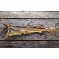 Stockfish séché de haute qualité à vendre Stock norvégien séché et têtes de morue/Tailles de morue et de stock de poisson séché disponibles