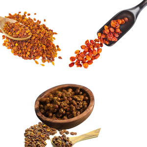 ซีบัคธอร์นเบอร์รี่ | คุณภาพระดับพรีเมี่ยมสำหรับแบรนด์อาหารเสริมเพื่อสุขภาพ - Product Image 4