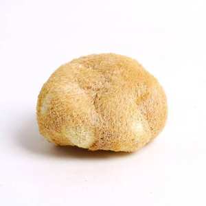 Fabricantes Suministran Hongos Hericium Erinaceus Secos Cultivados Artificialmente de 3-10 cm - Product Image 1