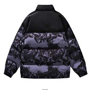 Chaqueta de Lona Acolchada para Hombre, Estilo North Face, con Cuello Alto, Impermeable, Informal, para Invierno y Actividades al Aire Libre - Product Image 2