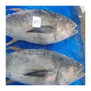 Atún amarillo congelado de alta calidad preparado para distribución a granel. - Product Image 1