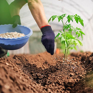 Fournisseur en gros d'engrais à base de nitrate soluble pour l'agriculture pour plantes d'intérieur, succulentes et hydroponiques - Product Image 3