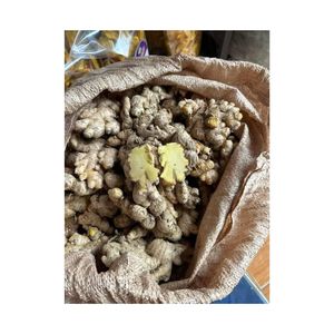 ขิงช้างสดคุณภาพสูงจากเวียดนามส่งออก150gr อัพขิงแบบพรีเมียมจากฟาร์มเวียดนามขายส่งราคาตรงจากโรงงาน - Product Image 3