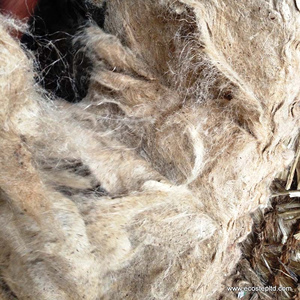 Precio de fábrica directo personalizado oferta más barata de corte de yute en diferentes tamaños caddies de yute crudo de Bangladesh - Product Image 5