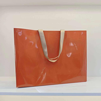 Bolsa de Plástico para Compras, Ropa, Joyería, Regalos, con Asa, para Boutique