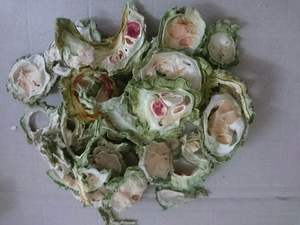 Tranches séchées de melon amer de qualité supérieure Gourde amère du Vietnam Séché au soleil En vrac En gros Usine Fabricant d'exportation OEM - Product Image 5