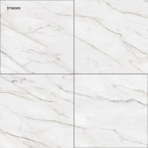 Baldosas de Seranita Modernas de Alta Calidad ST66005 60x60cm de un Fabricante Confiable al Mejor Precio - Product Image 1