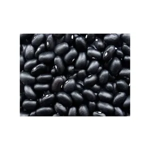 Factory Price High Quality Red Speckled Kidney Bean For Sale Factory Directly Wholesale Red Kidney Beans Long Shape Dark Black K