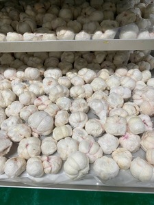 El mangostán liofilizado de Vietnam ofrece una manera sabrosa de disfrutar de la fruta pura en cualquier momento y en cualquier lugar - Product Image 4