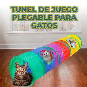 Tunnel Pieghevole Colorato per Gatti per Divertimento ed Esercizio Felino - Product Image 4