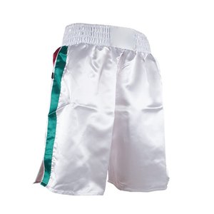 Sibrin Premium - Shorts de boxe personnalisés à sublimation imprimée, taille haute |   Tissu respirant et léger |   Vêtements d'arts martiaux personnalisés - Product Image 4