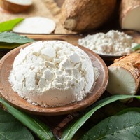 Farine de manioc en poudre, excellente qualité, amidon de tapioca en poudre pour l'industrie alimentaire et la pâtisserie, prix le plus bas