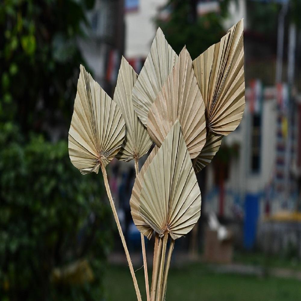 ธรรมชาติ