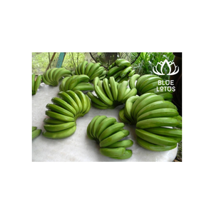 กล้วยสดที่มีคุณภาพสูงสมูทตี้และขนมหวานผลไม้ผลไม้ที่มีคุณภาพจากเวียดนาม - Product Image 1