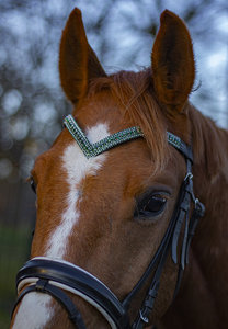 ที่คาดผมรูปม้าสีเขียวมรกตโลโก้ออกแบบได้ตามที่ต้องการมีดีไซน์ที่ดีที่สุดทำจากหนัง - Product Image 3