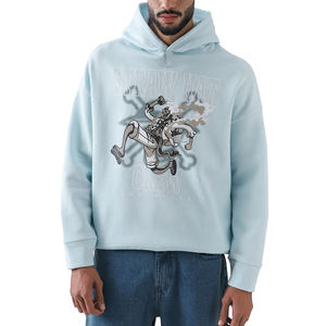 Sudadera básica de algodón 100% de alta calidad para hombre, jersey con logotipo propio personalizado, sudadera Lisa estampada con capucha, mezcla de algodón y poliéster para otoño - Product Image 1